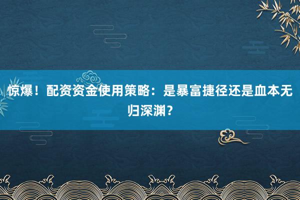惊爆！配资资金使用策略：是暴富捷径还是血本无归深渊？