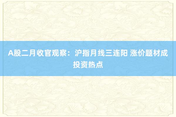 A股二月收官观察：沪指月线三连阳 涨价题材成投资热点