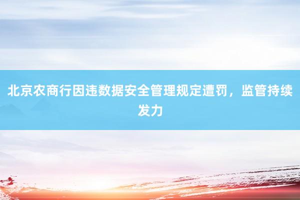 北京农商行因违数据安全管理规定遭罚，监管持续发力