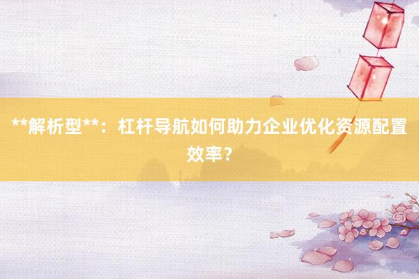 **解析型**：杠杆导航如何助力企业优化资源配置效率？