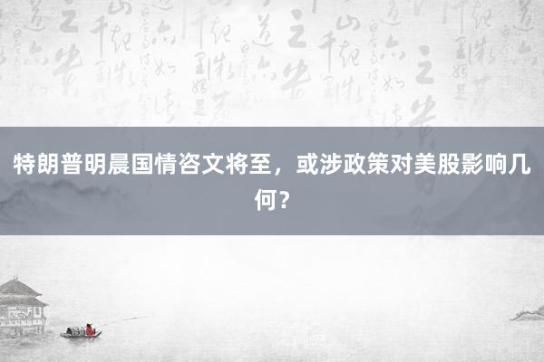 特朗普明晨国情咨文将至，或涉政策对美股影响几何？