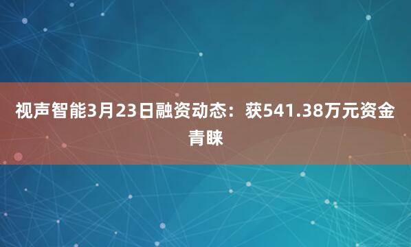 视声智能3月23日融资动态：获541.38万元资金青睐