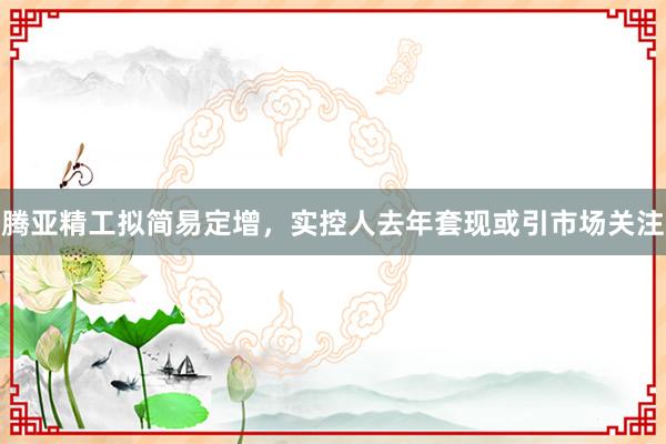 腾亚精工拟简易定增，实控人去年套现或引市场关注