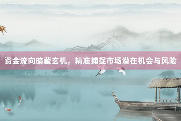 资金流向暗藏玄机，精准捕捉市场潜在机会与风险