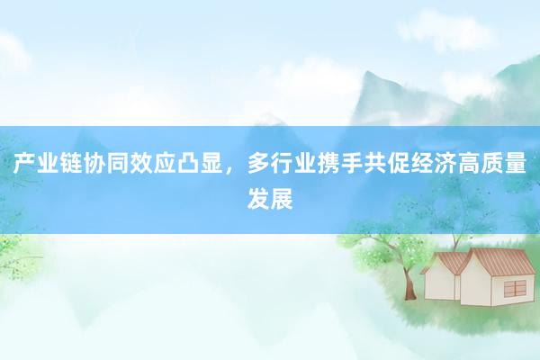 产业链协同效应凸显，多行业携手共促经济高质量发展