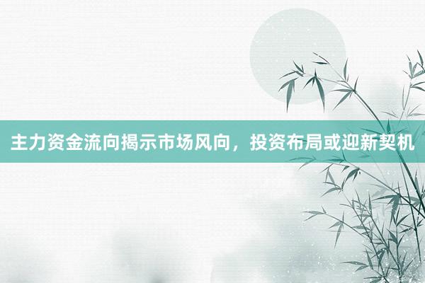 主力资金流向揭示市场风向，投资布局或迎新契机