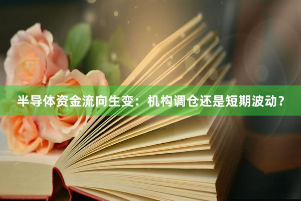 半导体资金流向生变:机构调仓还是短期波动?
