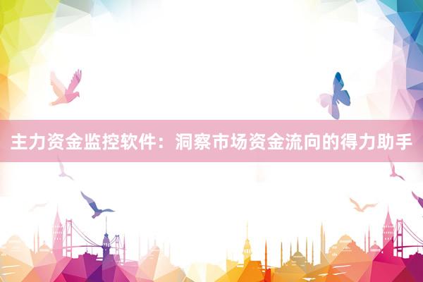 主力资金监控软件：洞察市场资金流向的得力助手