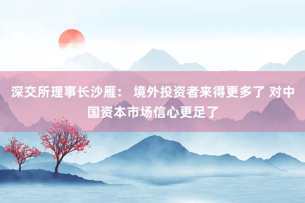 深交所理事长沙雁： 境外投资者来得更多了 对中国资本市场信心更足了