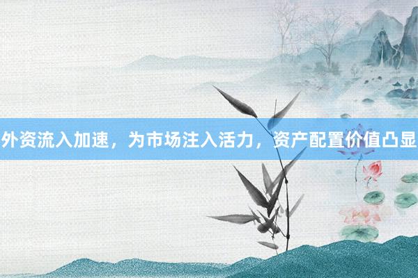 外资流入加速，为市场注入活力，资产配置价值凸显