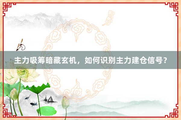 主力吸筹暗藏玄机，如何识别主力建仓信号？