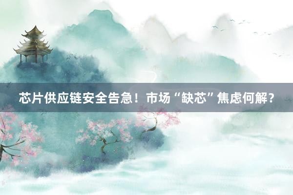 芯片供应链安全告急！市场“缺芯”焦虑何解？