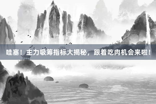 哇塞！主力吸筹指标大揭秘，跟着吃肉机会来啦！