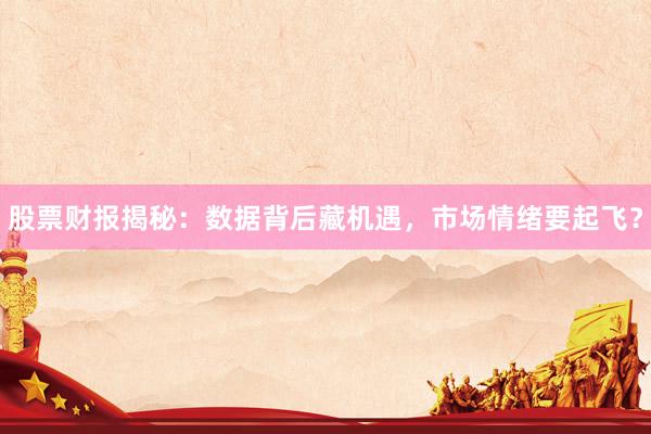 股票财报揭秘：数据背后藏机遇，市场情绪要起飞？