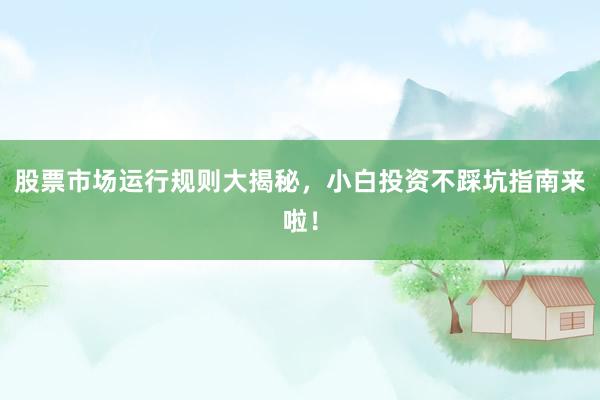 股票市场运行规则大揭秘,小白投资不踩坑指南来啦!