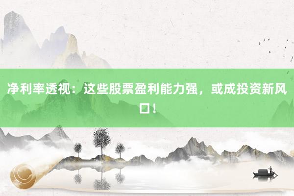 净利率透视：这些股票盈利能力强，或成投资新风口！