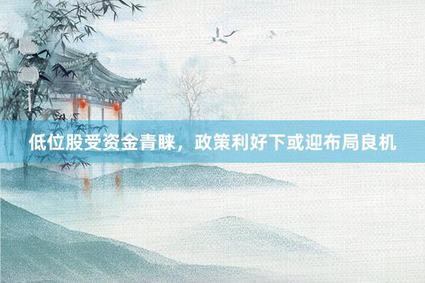 低位股受资金青睐，政策利好下或迎布局良机