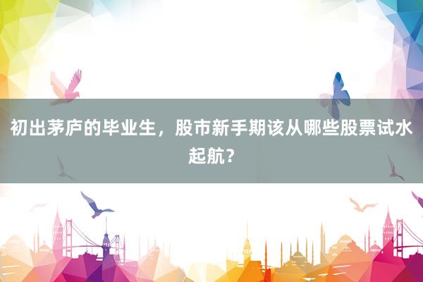 初出茅庐的毕业生，股市新手期该从哪些股票试水起航？